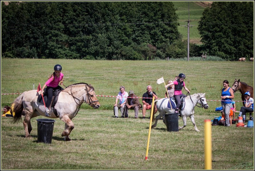 Mounted Games 253